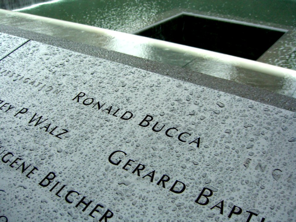 12.6.11RonaldPaulBuccaPanelS-14ByLuigiNovi3