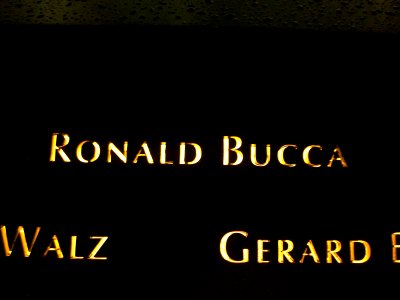 12.6.11RonaldPaulBuccaPanelS-14ByLuigiNovi1