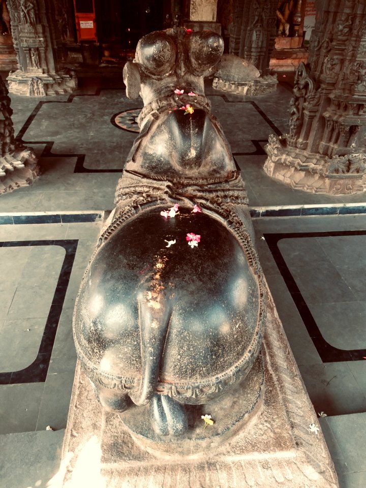 11th_century_Ramalingeshwara_Temple,_Nandikandi,_Telangana,_Kalyani_Chalukyas_-_16