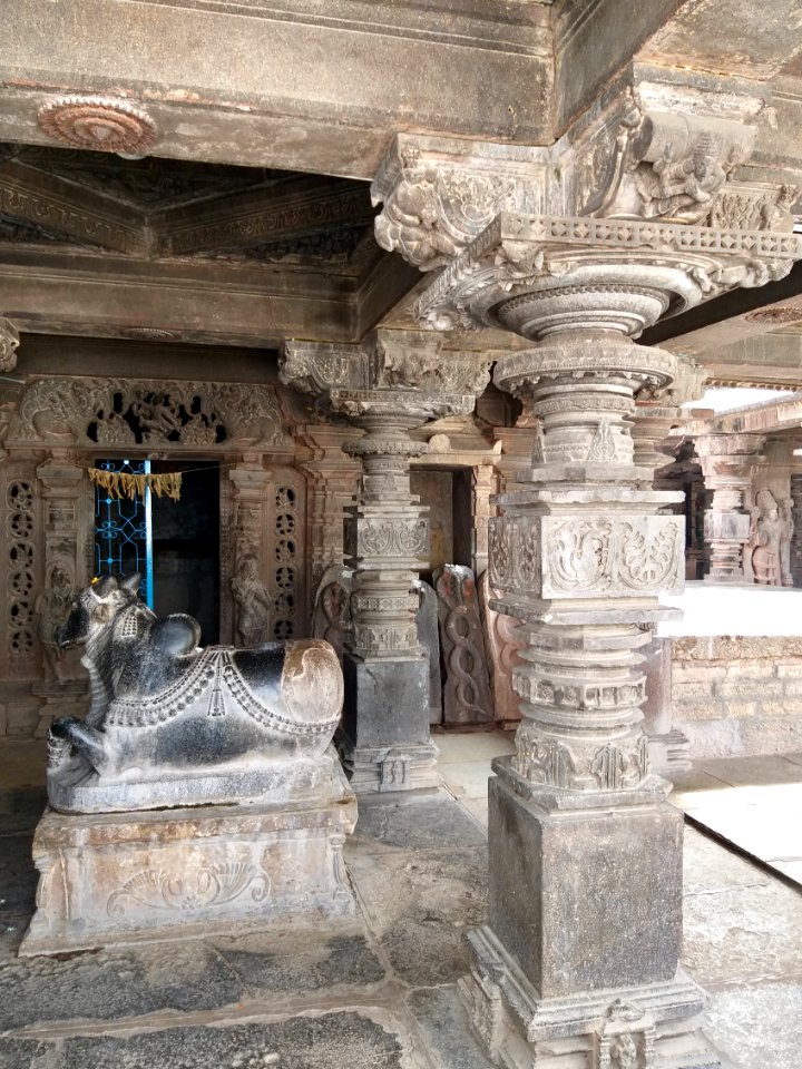 11th_century_Panchalingeshwara_temples_group,_Kalyani_Chalukya,_Sedam_Karnataka_India_-_98