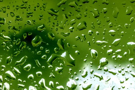 Window green rain photo