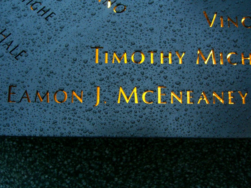 12.6.11EamonMcEneaneyPanelN-57ByLuigiNovi5