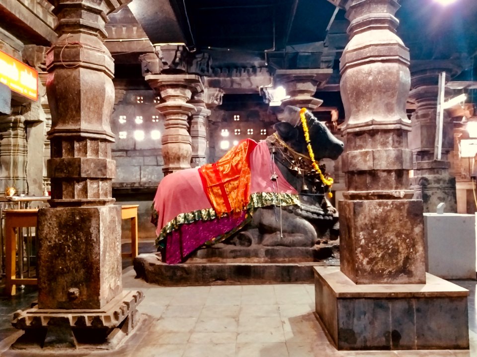 11th_century_Trikuteshvara_temple,_Gadag,_Karnataka_India_-_169