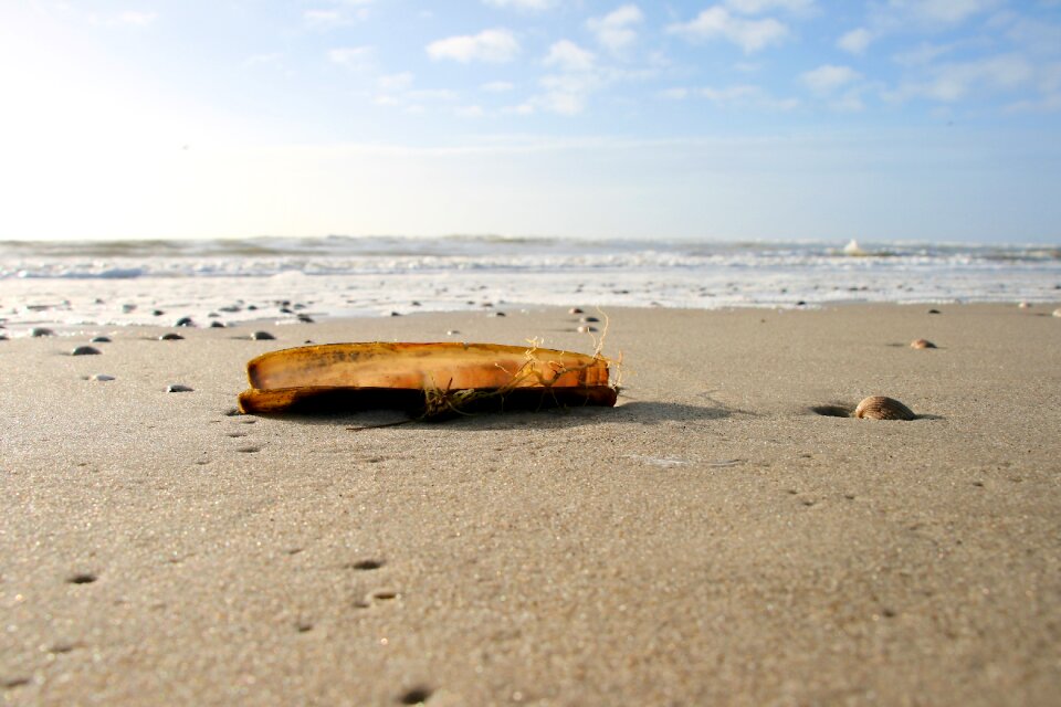 Sun sea summer