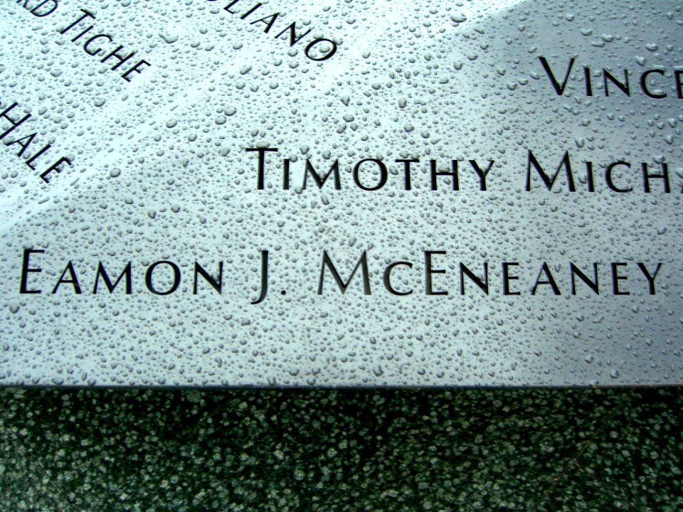 12.6.11EamonMcEneaneyPanelN-57ByLuigiNovi9