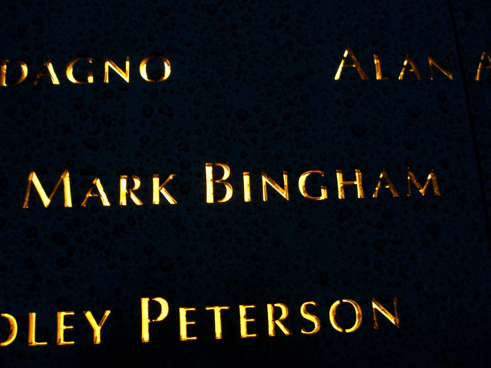 12.6.11MarkBinghamPanelS-67ByLuigiNovi2