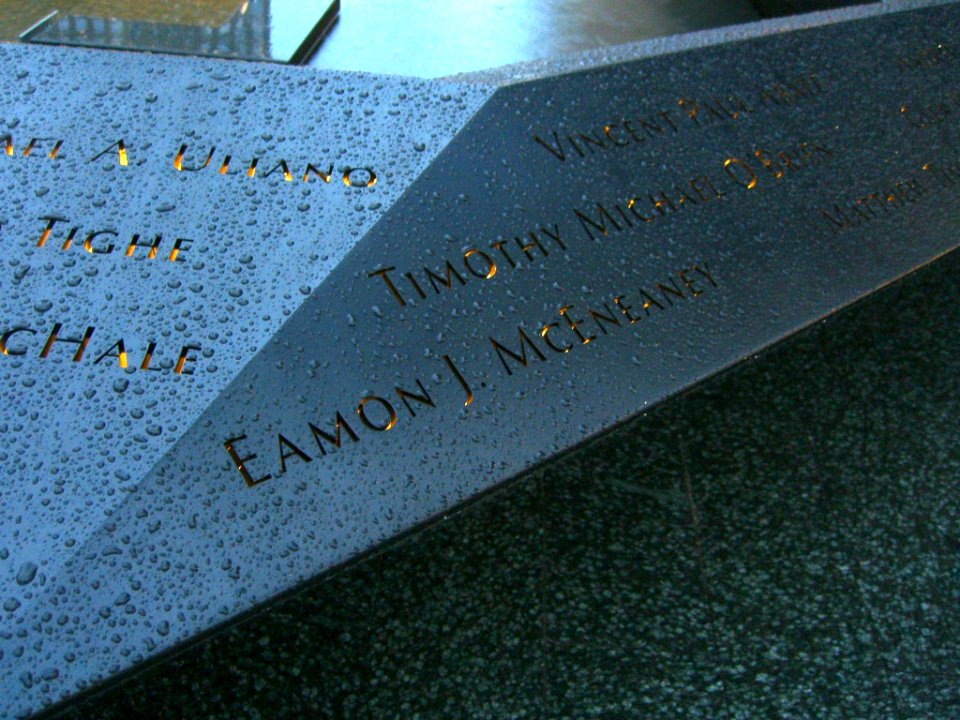 12.6.11EamonMcEneaneyPanelN-57ByLuigiNovi6