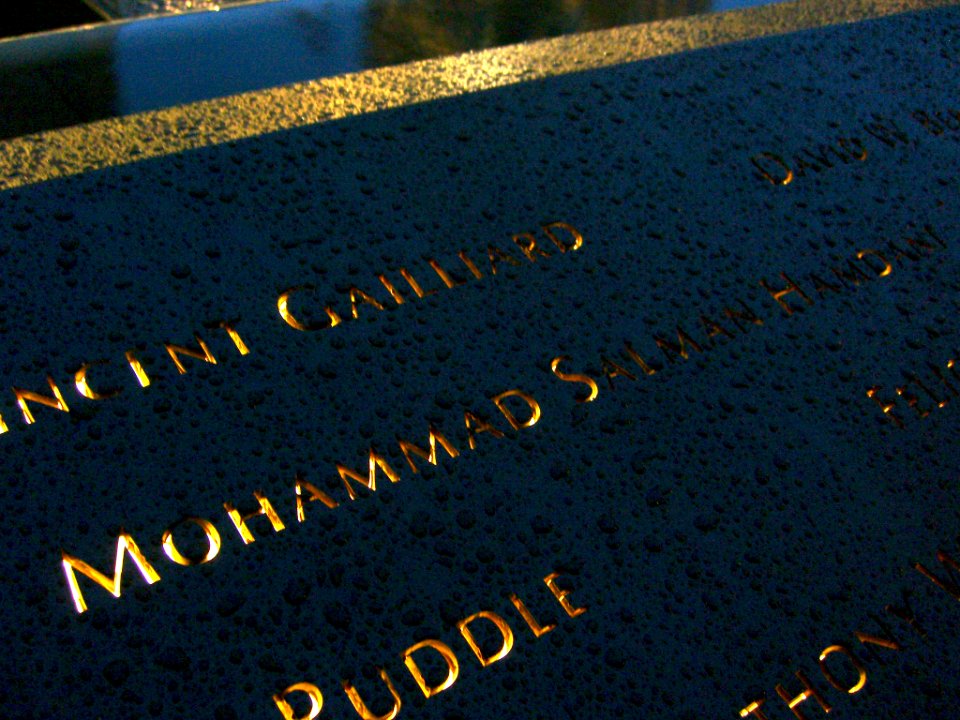 12.6.11MohammedHamdaniPanelS-66ByLuigiNovi2