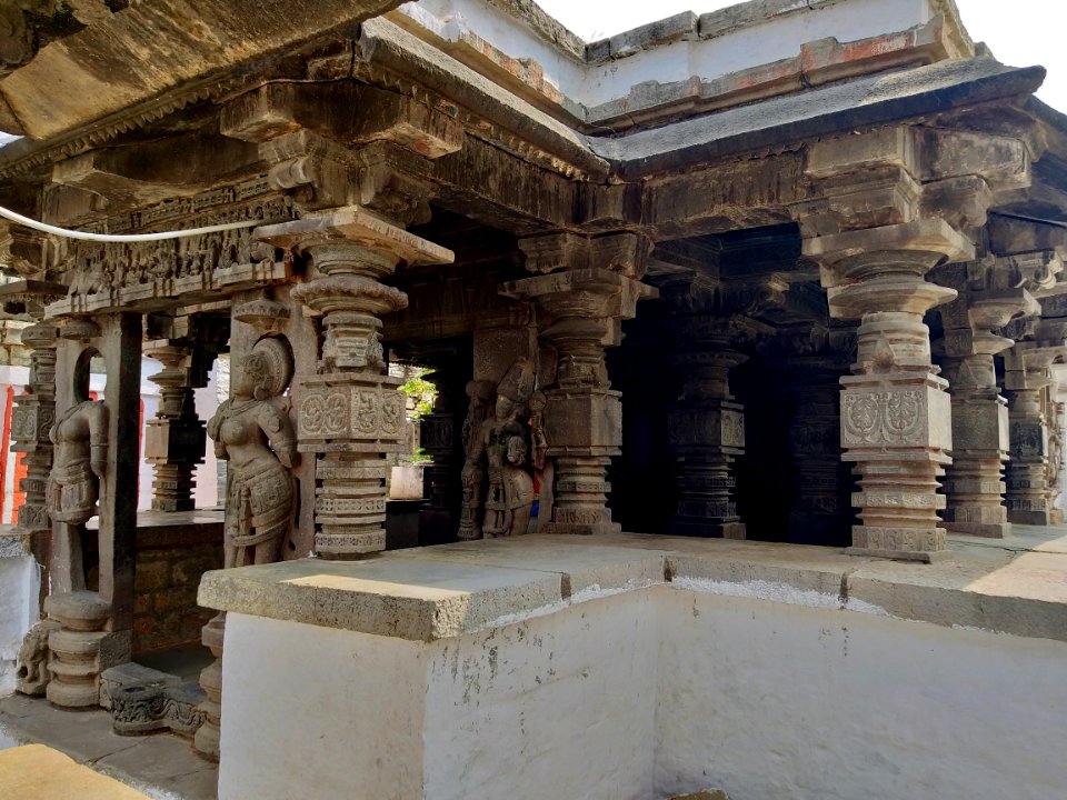11th_century_Panchalingeshwara_temples_group,_Kalyani_Chalukya,_Sedam_Karnataka_India_-_77