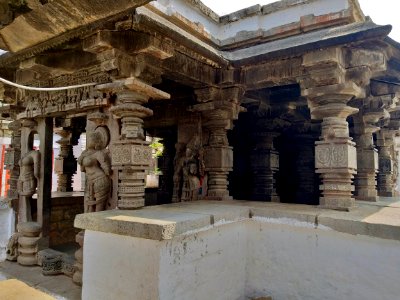 11th_century_Panchalingeshwara_temples_group,_Kalyani_Chalukya,_Sedam_Karnataka_India_-_77