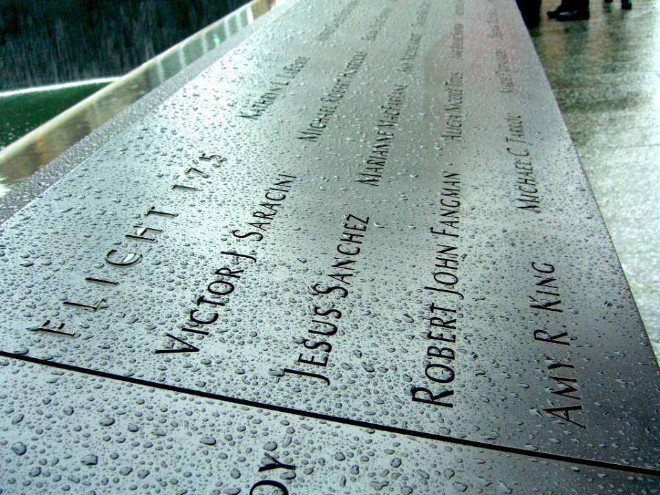 12.6.11Flight175PanelS-2ByLuigiNovi8