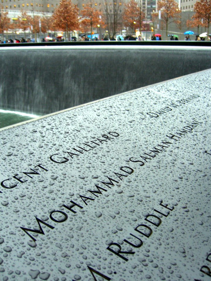 12.6.11MohammedHamdaniPanelS-66ByLuigiNovi5