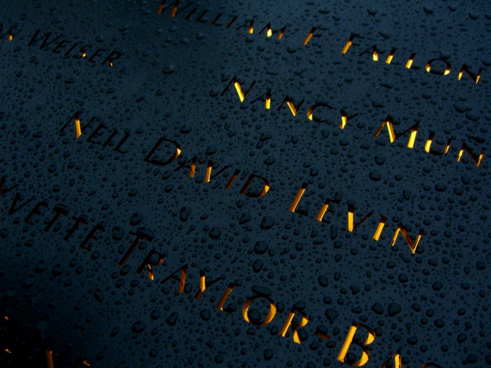 12.6.11NeilDavidLevinPanelN-65ByLuigiNovi5