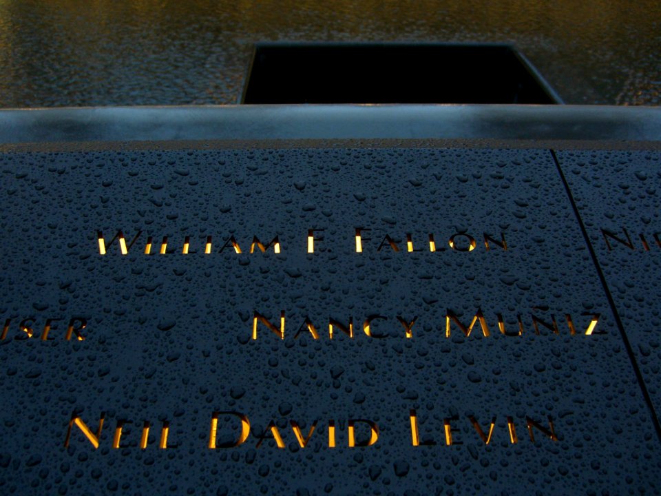 12.6.11NeilDavidLevinPanelN-65ByLuigiNovi6