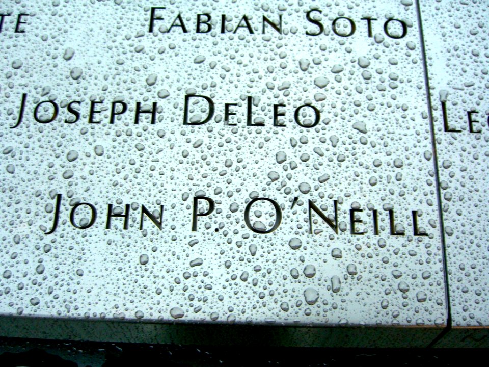 12.6.11JohnP.O'NeillPanelN-63ByLuigiNovi8