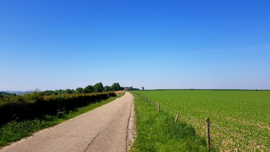 's-Gravenvoeren-Mheer-Grenspaal_23_(BE-NL)_(5)