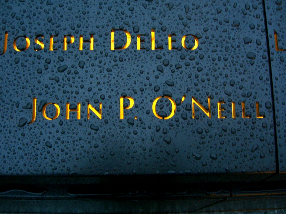 12.6.11JohnP.O'NeillPanelN-63ByLuigiNovi5