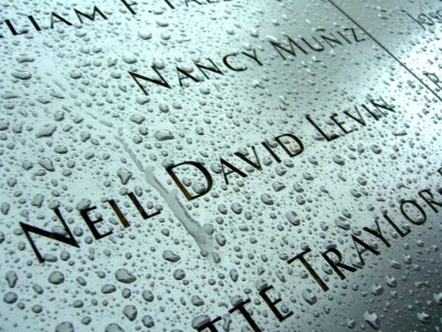 12.6.11NeilDavidLevinPanelN-65ByLuigiNovi9