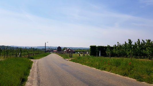 's-Gravenvoeren-Mesch-Grenspaal_35_(BE-NL)_(1)
