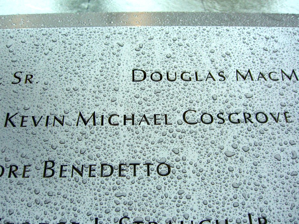 12.6.11KevinCosgrovePanelS-60ByLuigiNovi7