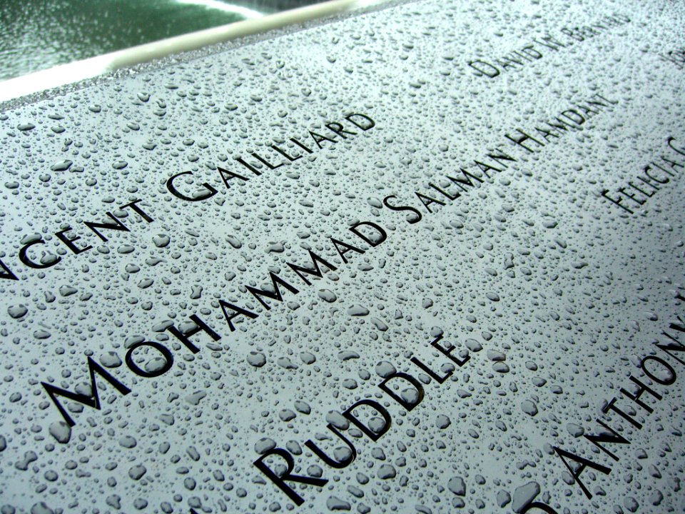 12.6.11MohammedHamdaniPanelS-66ByLuigiNovi6