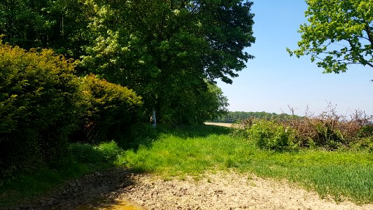 's-Gravenvoeren-Mheer-Grenspaal_25_(BE-NL)_(1)