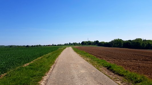 's-Gravenvoeren-Mheer-Grenspaal_23_(BE-NL)_(13)