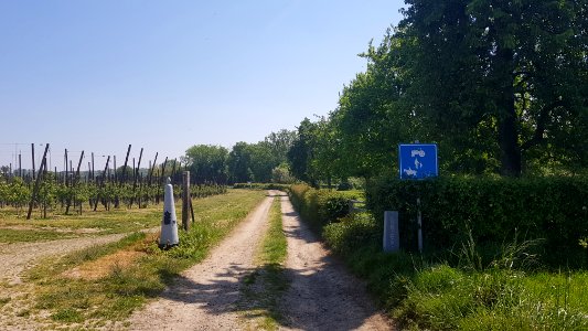 's-Gravenvoeren-Mesch-Grenspaal_29_(BE-NL)_(8)