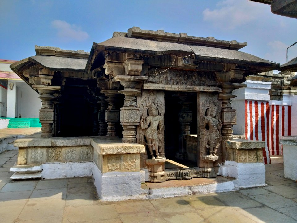 11th_century_Panchalingeshwara_temples_group,_Kalyani_Chalukya,_Sedam_Karnataka_India_-_78