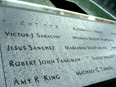 12.6.11Flight175PanelS-2ByLuigiNovi4