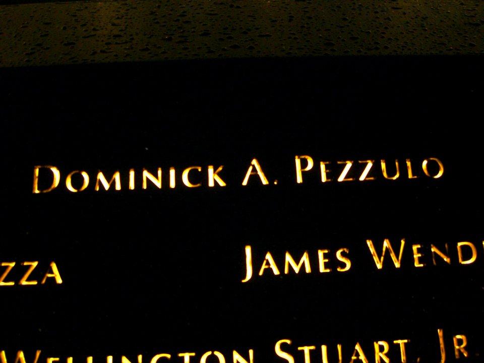 12.6.11DominickPezzuloPanelS-29ByLuigiNovi3