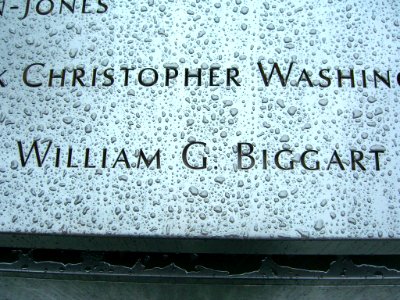 12.6.11BillBiggartPanelS-66ByLuigiNovi7