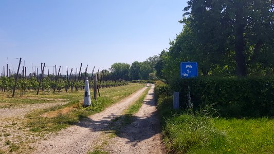 's-Gravenvoeren-Mesch-Grenspaal_29_(BE-NL)_(7)