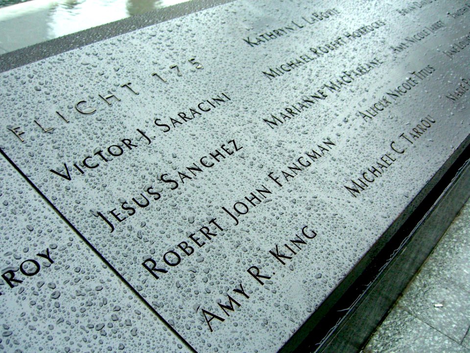 12.6.11Flight175PanelS-2ByLuigiNovi3