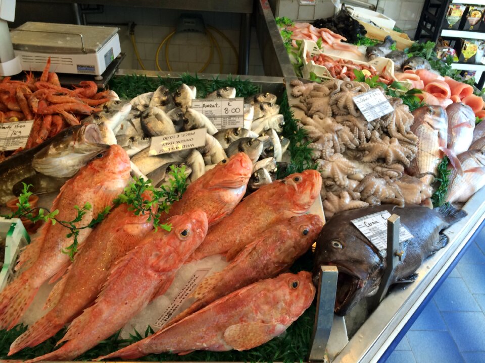 Seafood fish eating