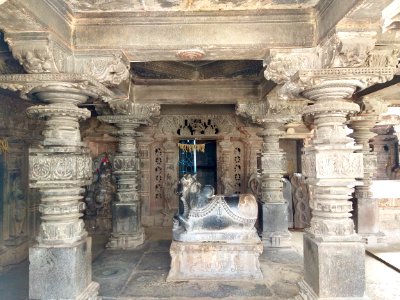 11th_century_Panchalingeshwara_temples_group,_Kalyani_Chalukya,_Sedam_Karnataka_India_-_96
