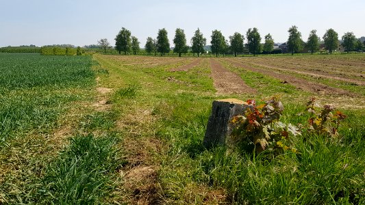 's-Gravenvoeren-Mesch-Grenspaal_35b_(BE-NL)_(4)