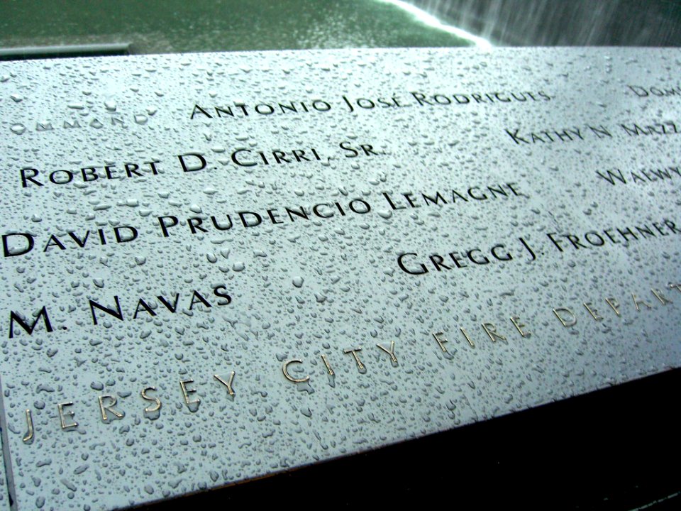 12.6.11DavidLemagnePanelS-29ByLuigiNovi7