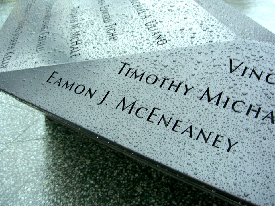 12.6.11EamonMcEneaneyPanelN-57ByLuigiNovi10