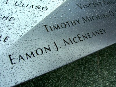 12.6.11EamonMcEneaneyPanelN-57ByLuigiNovi11