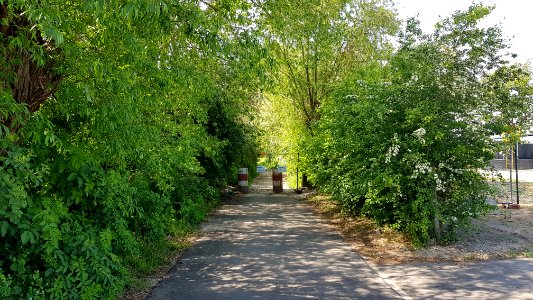 's-Gravenvoeren-wegafsluiting_Grijzegraaf_(2)