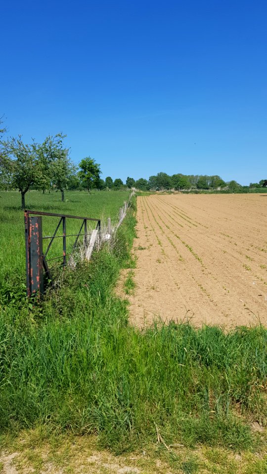 's-Gravenvoeren-Mesch-Grenspaal_30_(BE-NL)_(1)