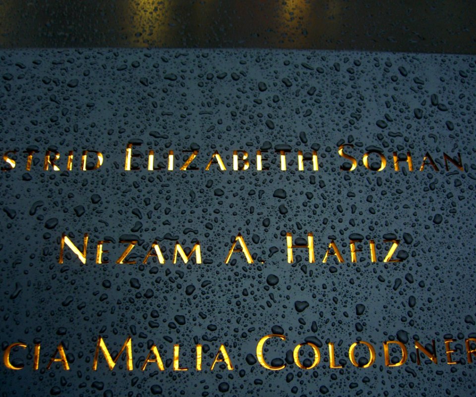 12.6.11NezamHafizPanelN-6ByLuigiNovi4