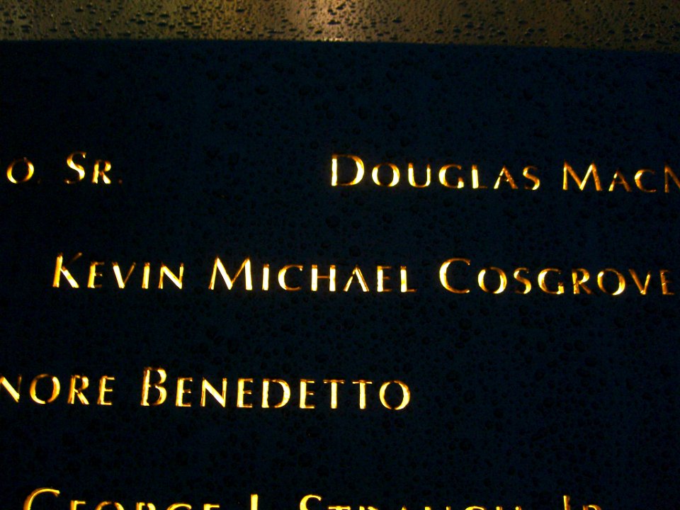 12.6.11KevinCosgrovePanelS-60ByLuigiNovi3