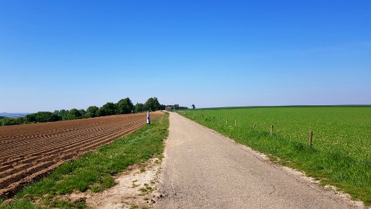's-Gravenvoeren-Mheer-Grenspaal_23_(BE-NL)_(8)