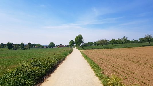 's-Gravenvoeren-Mesch-Grenspaal_30a_(BE-NL)_(3)