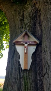 's-Gravenvoeren-wegkruis_op_grensboom_Huuskesboom_(5)