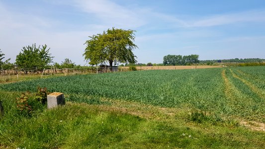 's-Gravenvoeren-Mesch-Grenspaal_35b_(BE-NL)_(5)