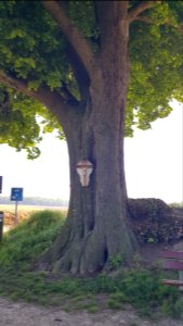 's-Gravenvoeren-wegkruis_op_grensboom_Huuskesboom_(3)