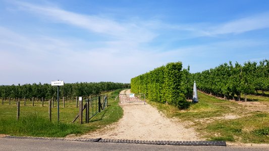 's-Gravenvoeren-wegafsluiting_Onderste_Bernauerweg_(1)